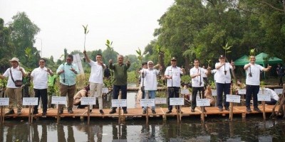 Percepat Perlindungan Ekosistem, Apical Tanam 3.000 Pohon Mangrove di Jakarta