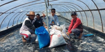 PT Timah Tbk Dorong Peningkatan Produksi Garam Kube Garam Lestari Belitung Timur