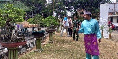 Museum Timah Indonesia Muntok Jadi Lokasi Pameran Bonsai, Warga Bisa Lihat Bonsai Endemik  Bangka Barat