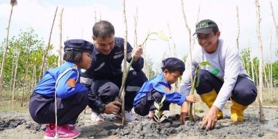 PT Timah Tbk Tanam Ribuan Mangrove dan Ratusan Pohon Buah di Wilayah Operasional, Dukung Program Gotong Royong Boyong Pohon Kementerian BUMN