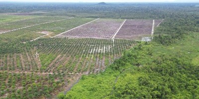 Kuasai Lahan HTI Milik PT SKR, PT RKT Dipolisikan