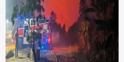 Tanggulangi Kebakaran Lahan Gambut di Kota Pangkalpinang PT Timah Tbk Kerahkan Tim  Damkar 