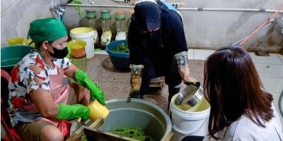 Mengangkat Ekonomi Lokal: Levaria Buktikan Potensi Pewarna Makanan di Bangka Barat