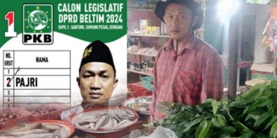 PAJRI Putra Batu Penyu, Tukang sayor menuju Parlemen.